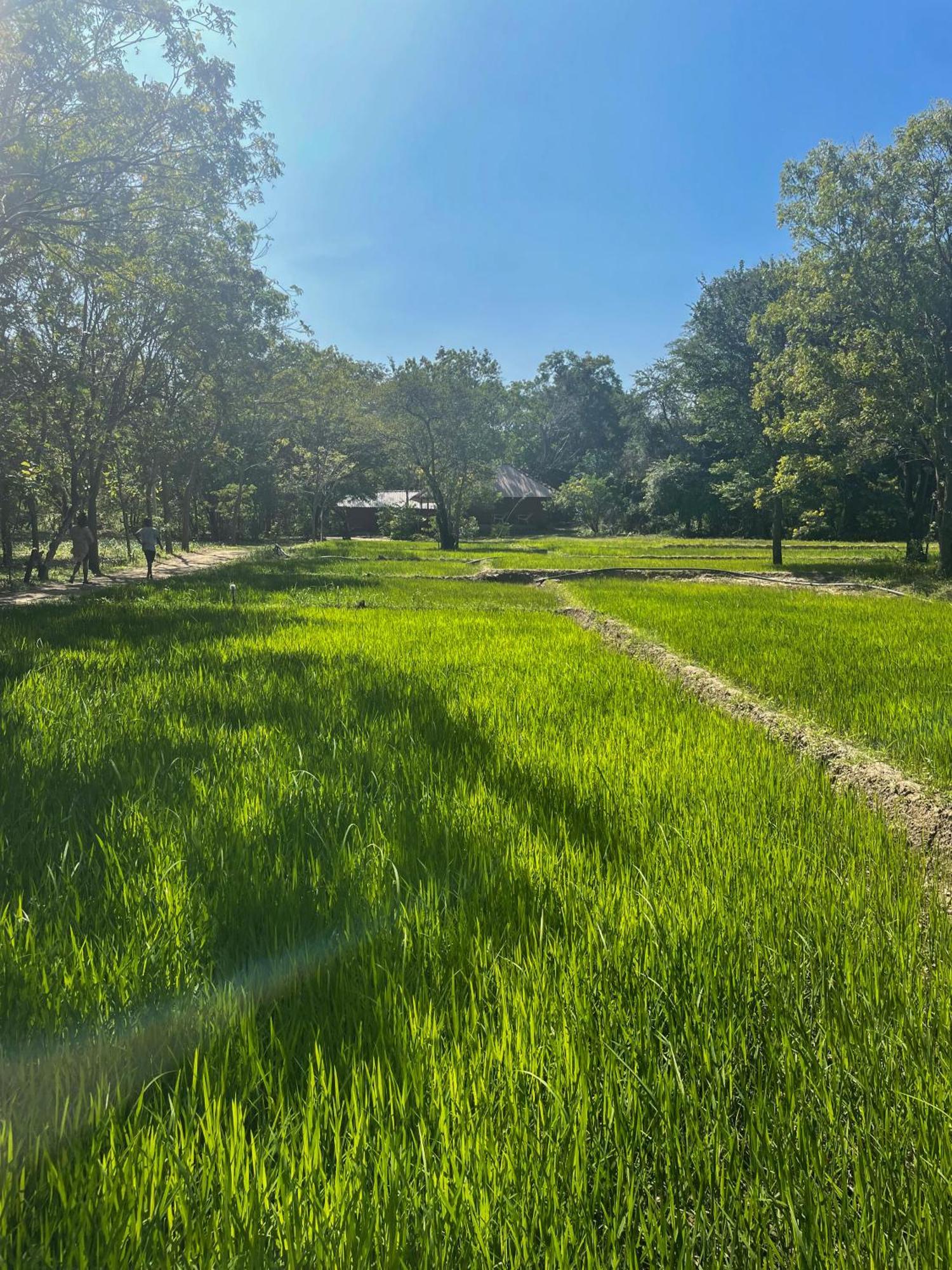 Sahana Retreat Buttala Kültér fotó