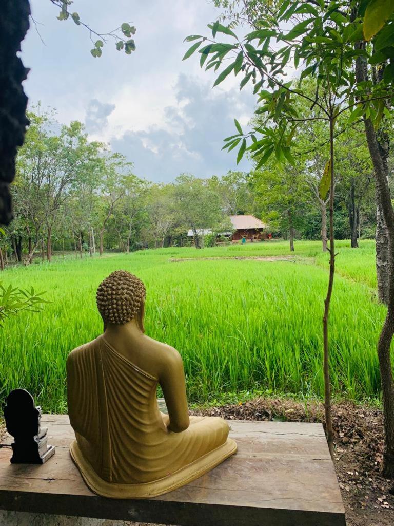 Sahana Retreat Buttala Kültér fotó