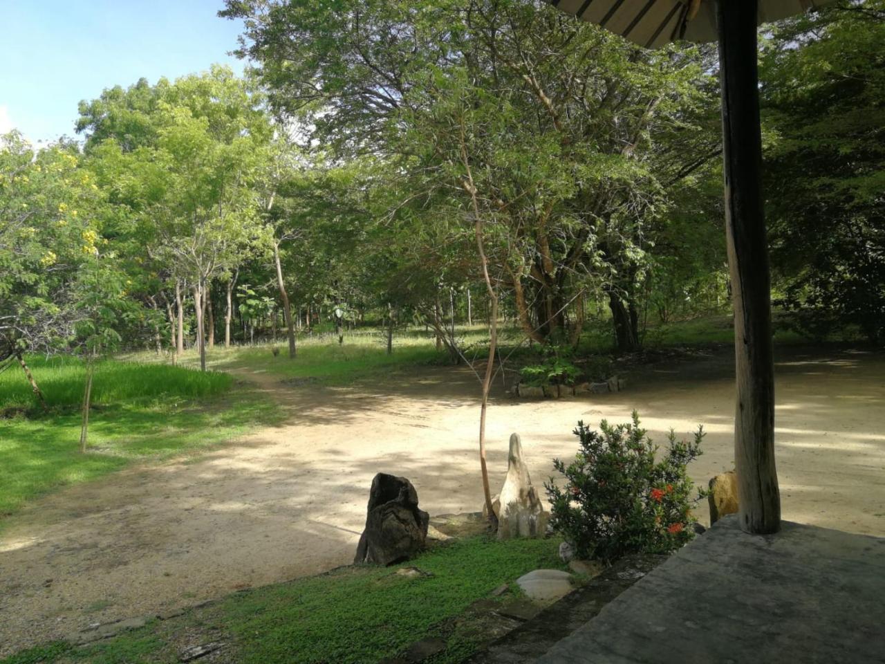 Sahana Retreat Buttala Kültér fotó